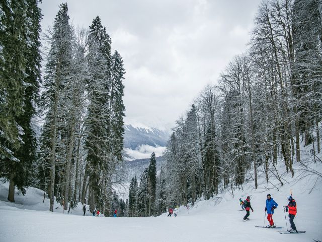 冬の楽しみと経済活性化：スキー・スノーボード旅行の魅力